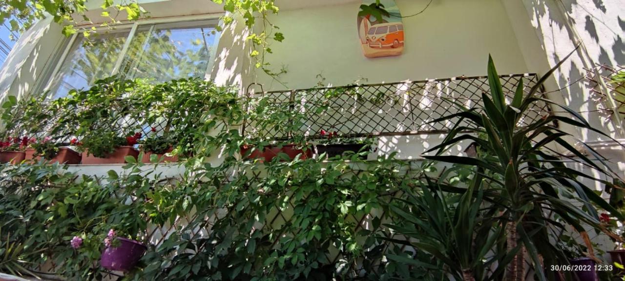 Hotel Traian si Teodora Costinesti Exterior foto